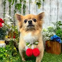 画像1037