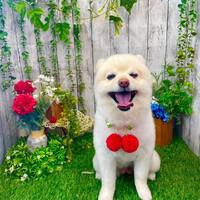 画像1038