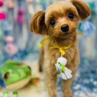画像1215