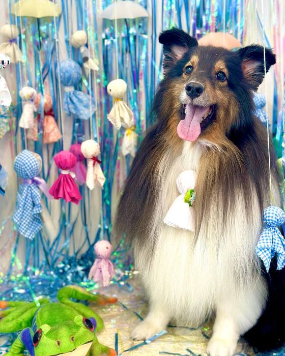 画像1226