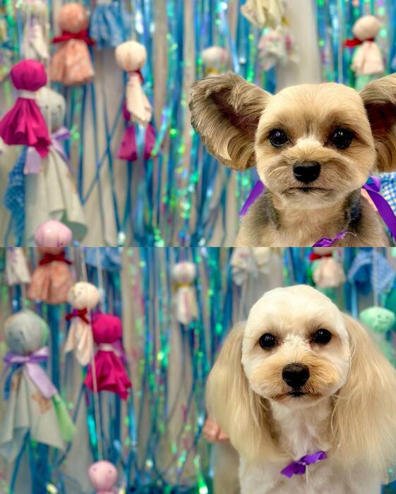 画像1269