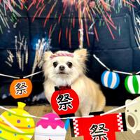 画像1506