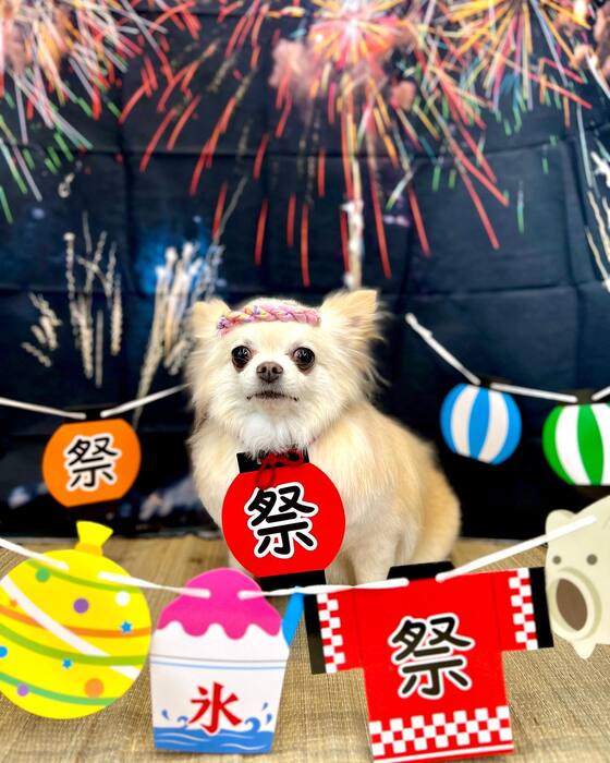 画像1506