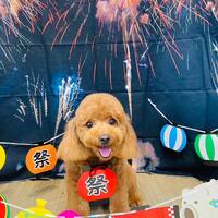 画像1512
