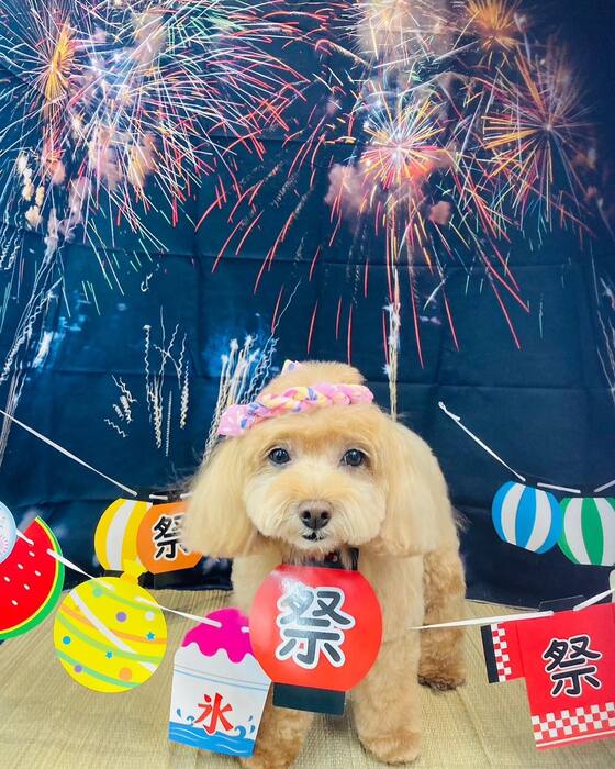 画像1523