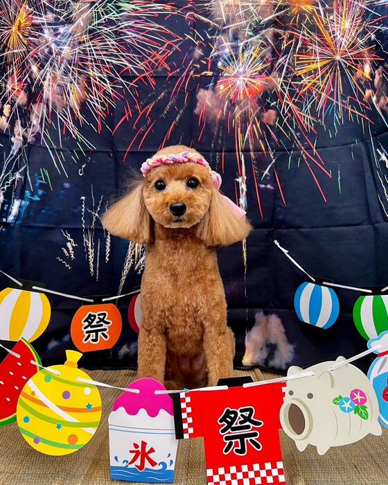 画像1526