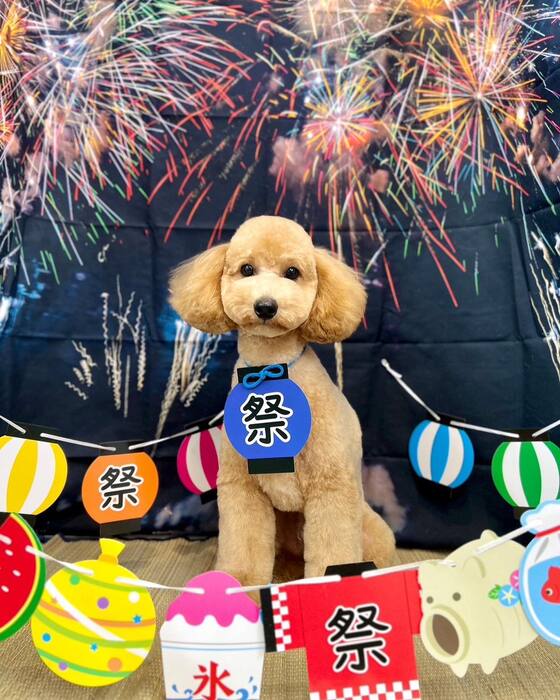 画像1527