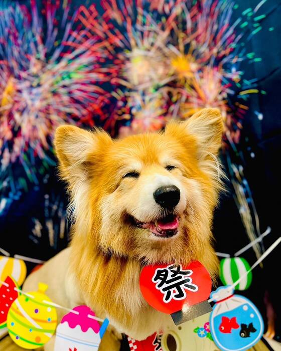 画像1530