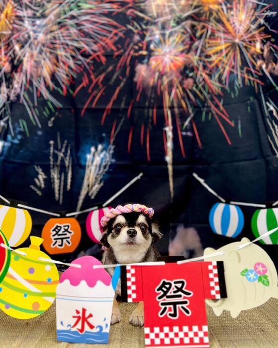 画像1536