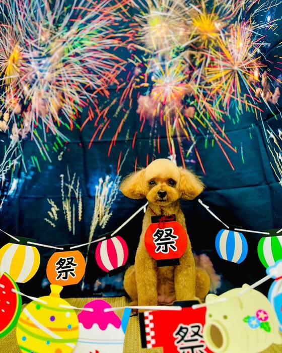 画像1537
