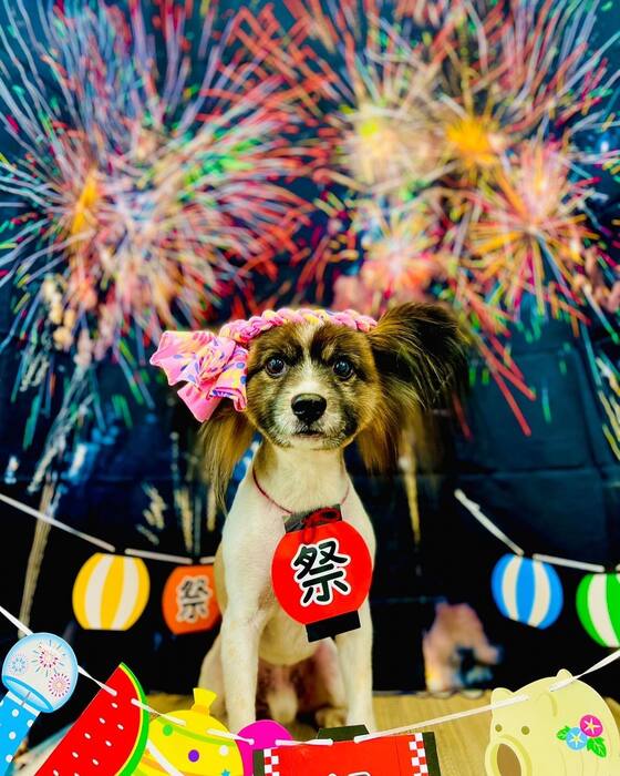 画像1540