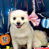 画像1544