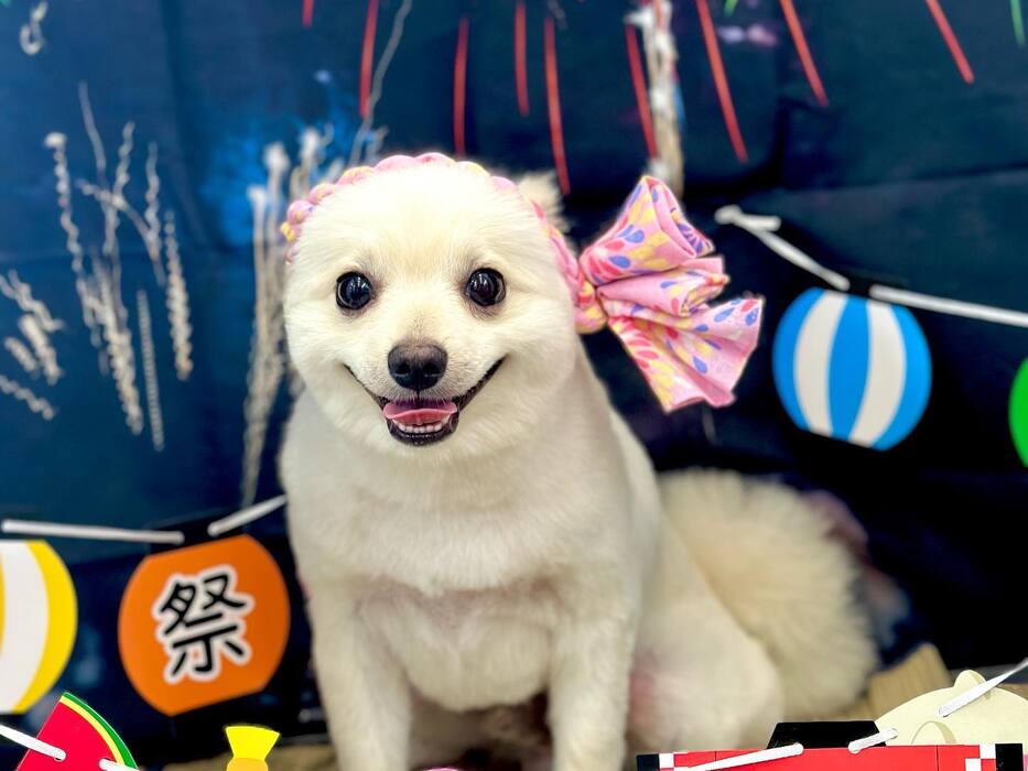 画像1544