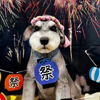 画像1549