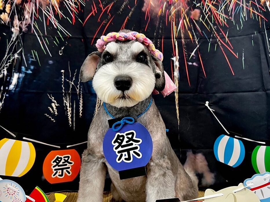 画像1549