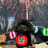 画像1550