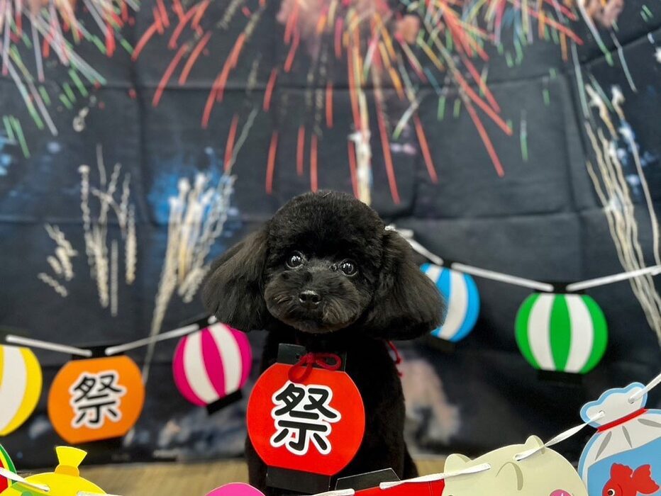 画像1550