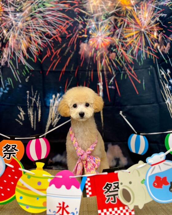 画像1564