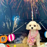 画像1569