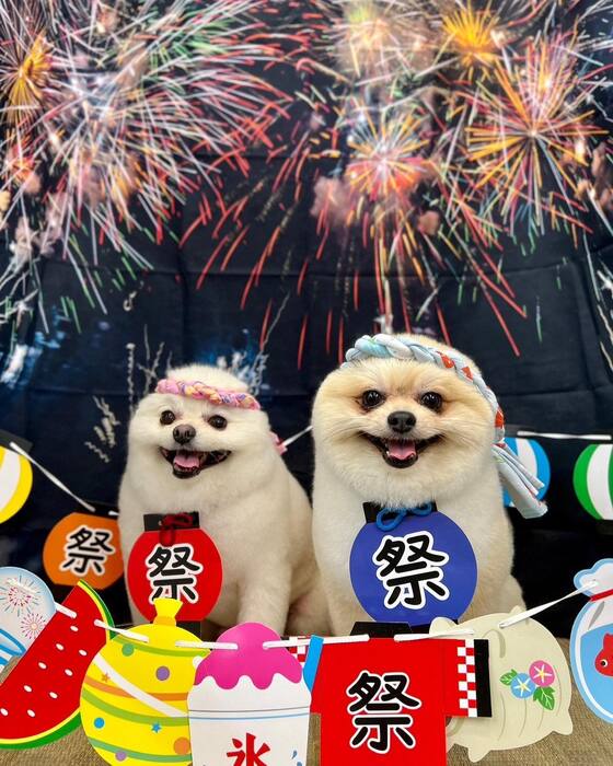 画像1572