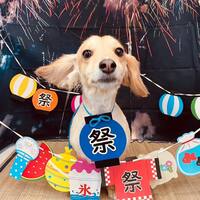 画像1578
