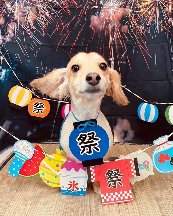 画像1578