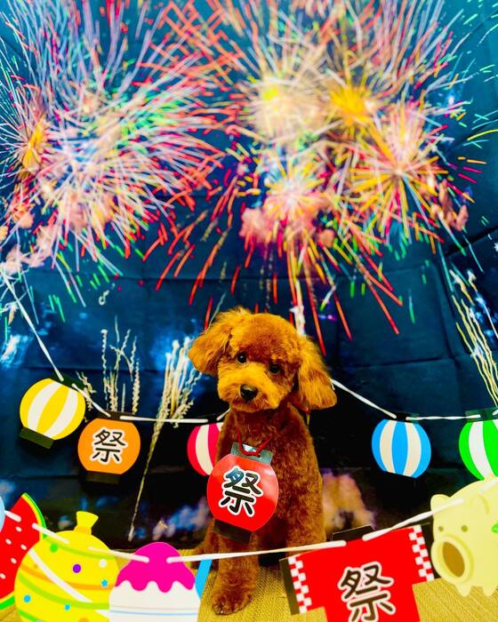 画像1580
