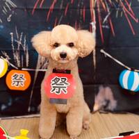 画像1585
