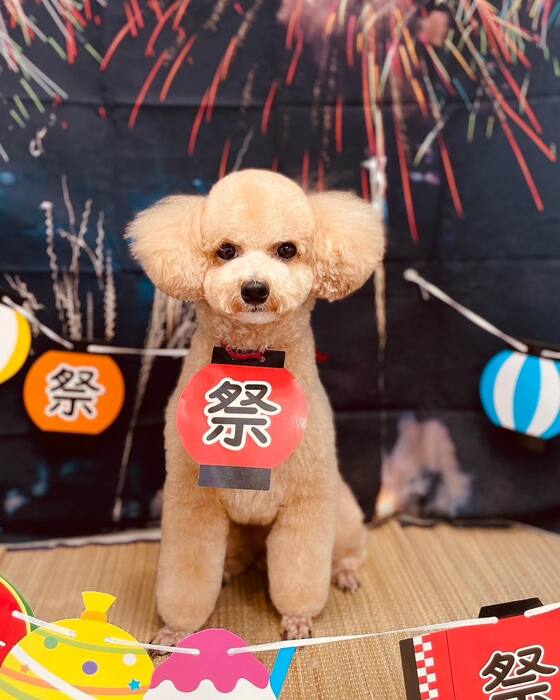 画像1585