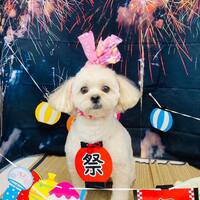 画像1612