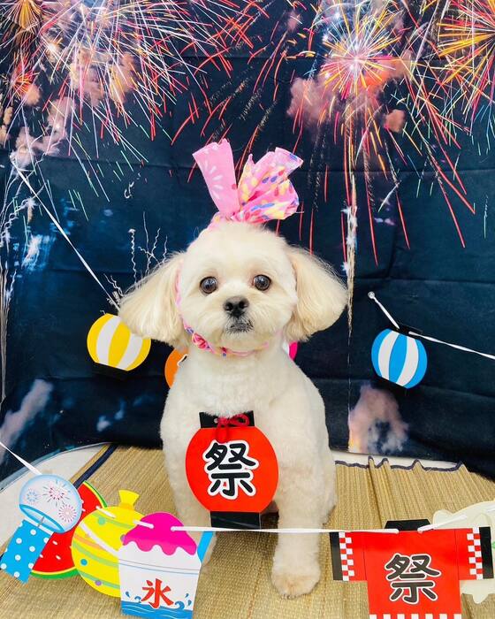 画像1612