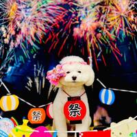 画像1616