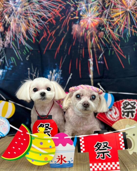 画像1623