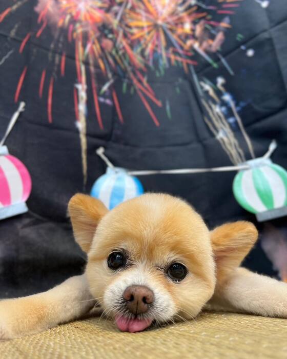 画像1624