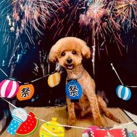 画像1637