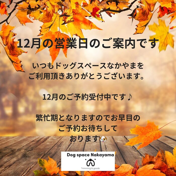 画像2086