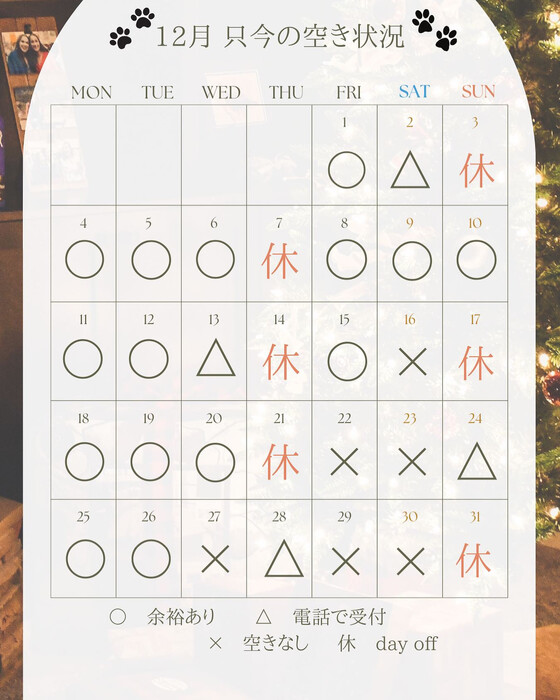 画像2228