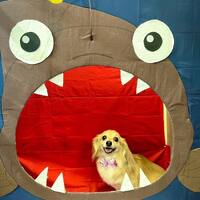 画像2244