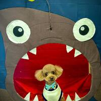 画像2353