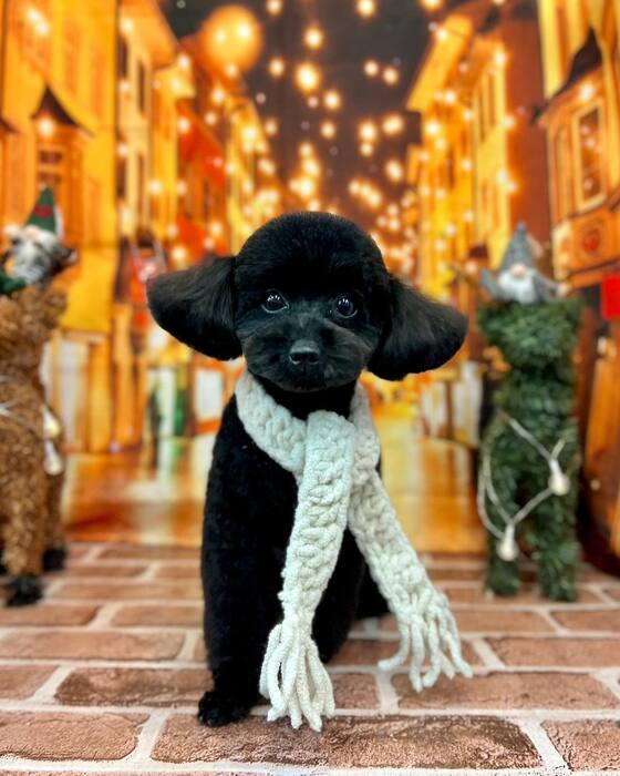 画像2664