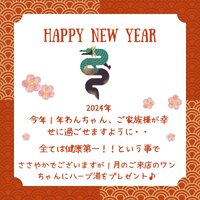 画像2706