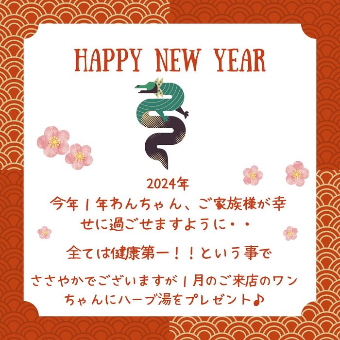 画像2706