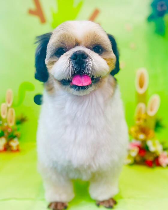 画像2733
