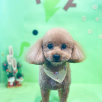 画像2832