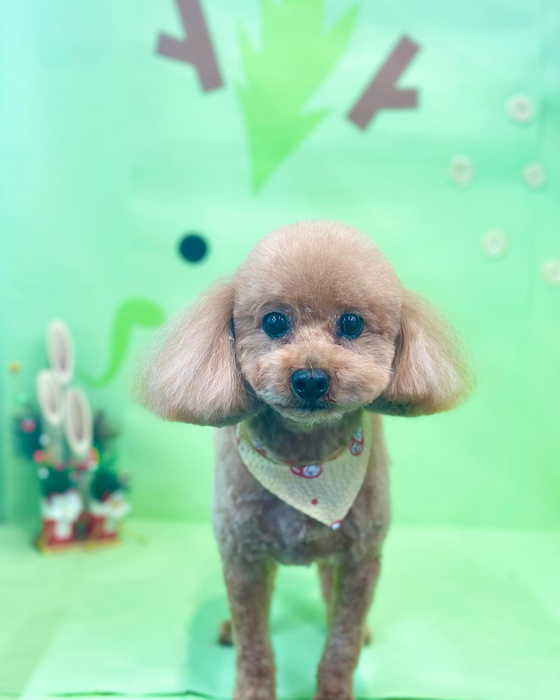 画像2832