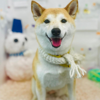 画像2936