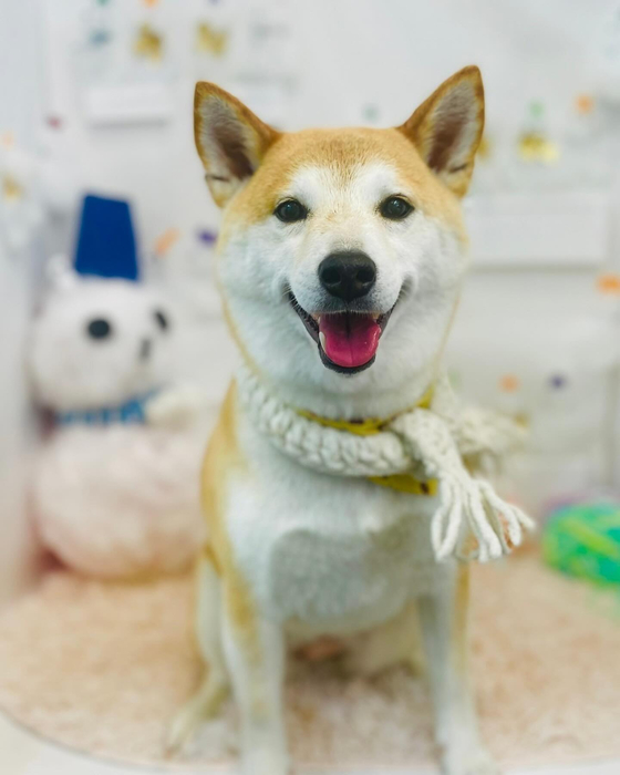 画像2936