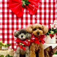 画像3350