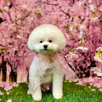 画像3411