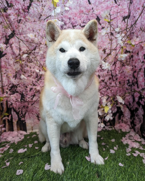 画像3440